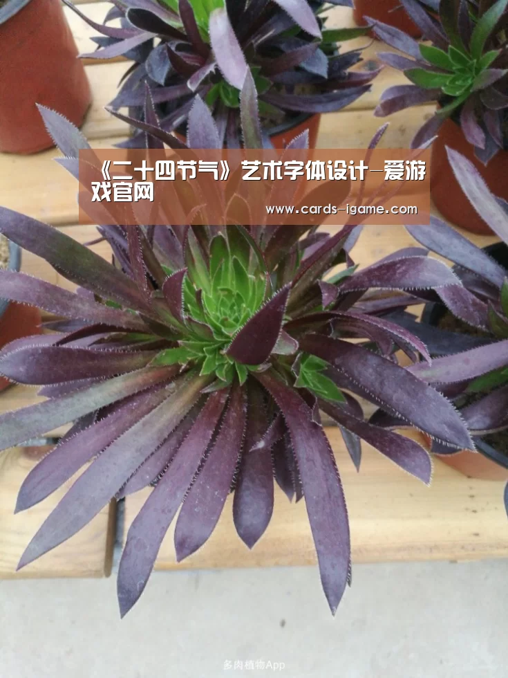 爱游戏