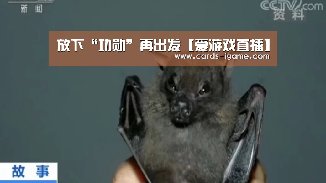 爱游戏官网