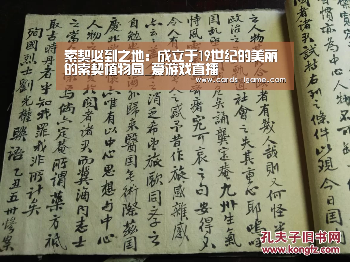 爱游戏直播